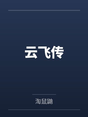 云飞传