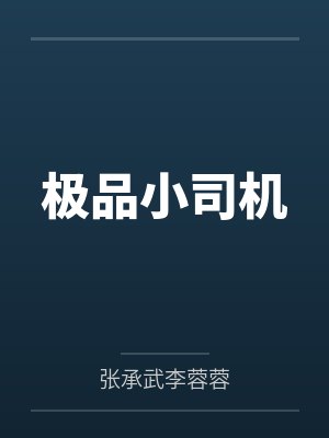 极品小司机