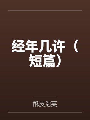 经年几许（短篇）