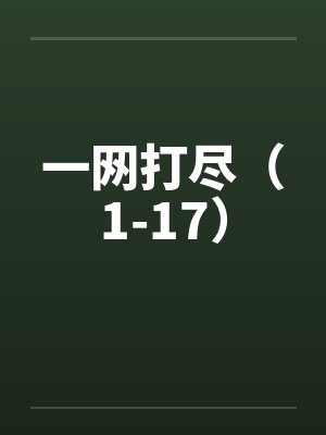 一网打尽（1-17）