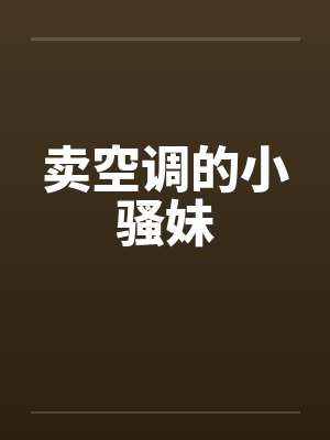 卖空调的小骚妹
