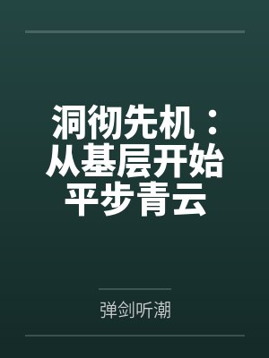 洞彻先机：从基层开始平步青云