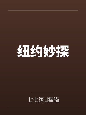 纽约妙探