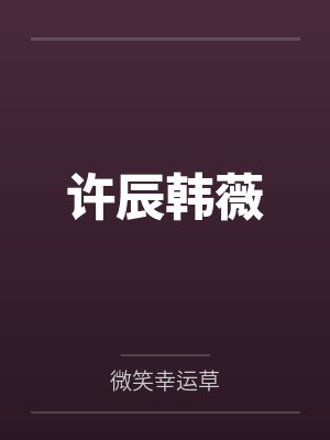 许辰韩薇