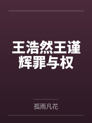 王浩然王谨辉罪与权