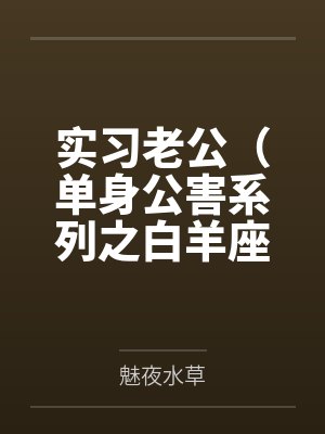 实习老公（单身公害系列之白羊座）
